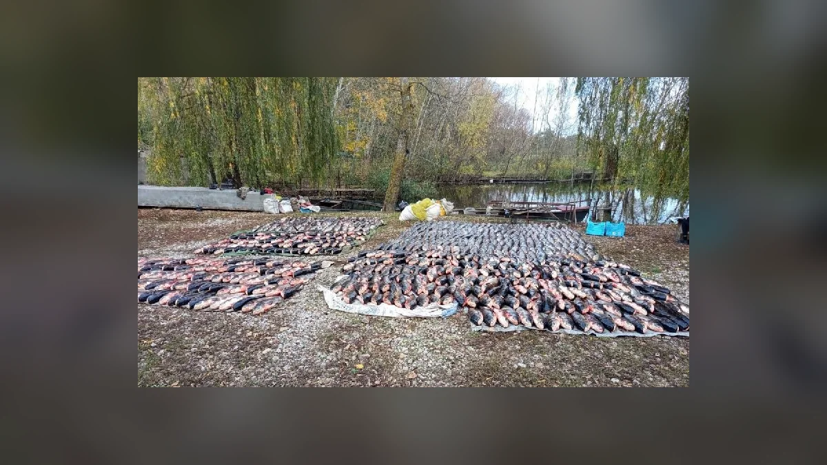 У Криворізькому районі на водосховищі затримали рибалок зі збитками на понад 5 мільйонів
